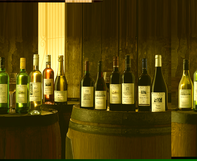 Unbranded Wine Tasting Starter Case - 12 Bottle