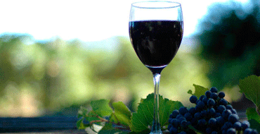 Unbranded Wine Tasting Workshop