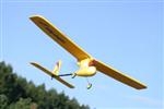 Unbranded Wing Dragon RC Aeroplane: 860mm long - 1080mm wide - Yellow