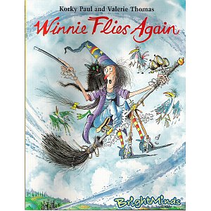Unbranded Winnie Flies again (Paperback)