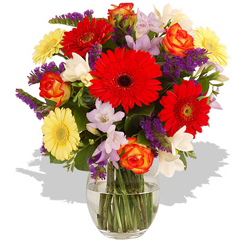 Unbranded Winter Sunshine - flowers