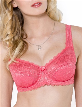 Unbranded Wired Push-Up Bra