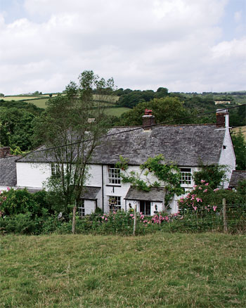 Unbranded Wisteria Cottage