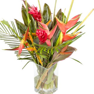 Unbranded Wonderful Wishes