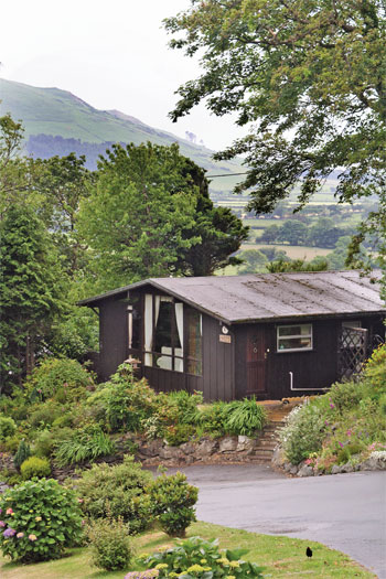 Unbranded Woodpecker Lodge