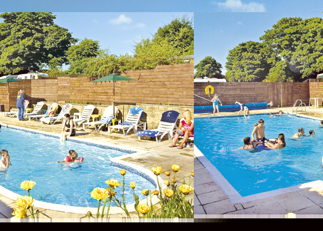 Unbranded Woodpecker WF Holiday Park