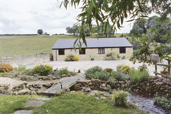 Unbranded Woodpecker