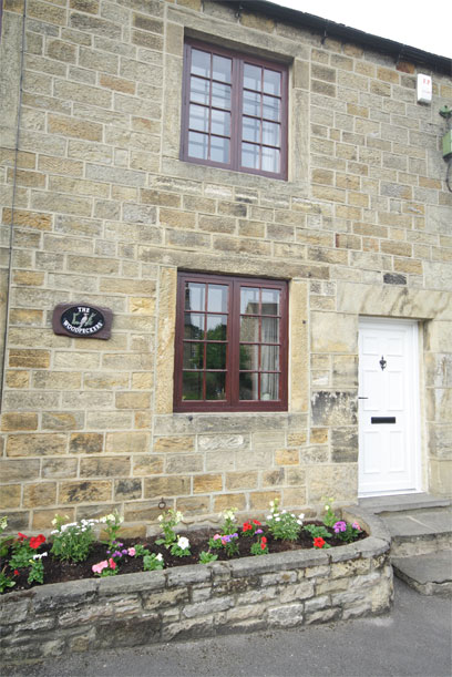 Unbranded Woodpeckers