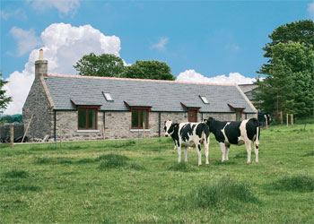 Unbranded Woodside Bothy