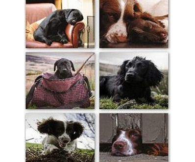 Unbranded Working Dogs Coasters - Set of Six 4842CX