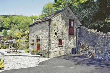 Unbranded Wrens Nest