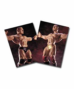 WWE Unlimited Figures