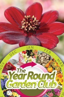 Unbranded Year Round Garden Club