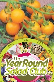 Unbranded Year Round Salad Club