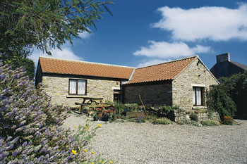 Unbranded Yederick Barn