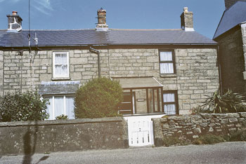 Unbranded Yellowsands