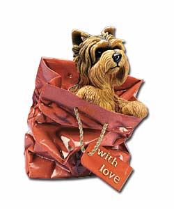 Yorkie With Love