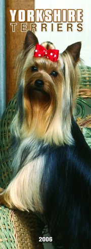 Yorkshire Terrier - SLIM Calendar