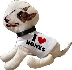 Unbranded Youdoo Personalised Pet