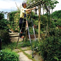 Youngman 3 Way Combination Ladder