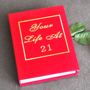 Unbranded Your Life At 21 Big Red Book Photo Album