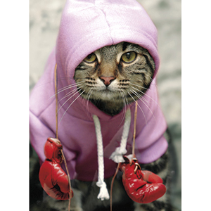 Unbranded Youre Still A Knockout Birthday Card