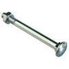 Heavy duty bolt for attaching or holding items. Tamper proof heads