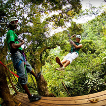 Unbranded Zipline Canopy from Negril - Adult