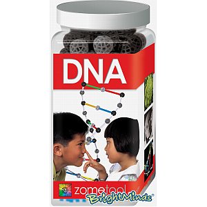 Unbranded Zome DNA Kit 71pcs