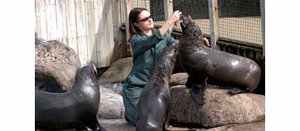 Unbranded Zookeeper for a Day at Bristol Zoo Gardens