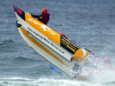 Up to andpound;100 Zap Cats