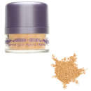 Surreal Skin Mineral MU Destiny 8gm