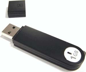 USB 2.0 Flash / Key Drive - 1GB - Samsung Original 153x Read - Mega High Speed - #CLEARANCE