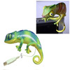 usb Chameleon