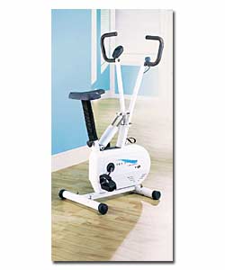 Aurora Triple Action Flywheel Cycle