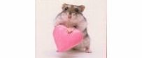 Valentines All Yours On Valentines Day Cute Hamster Card