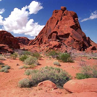 Valley of Fire Jeep Tour - Adult
