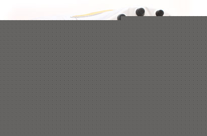  Valsport Talento FG Football Boots White/Gold