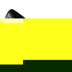 Female Rochester II X Leather Upper Casual Shoes in Black Antique Croc