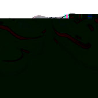 Vans Basha Mid Grey/Prism Pink