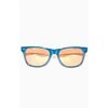 Vans Clothing Vans Sunglasses - Spicoli (Blue)
