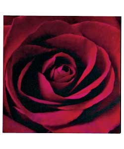 Velvet Rose Canvas