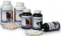 Synoquin Medium Breed (Dogs 10-25KG):120chewable