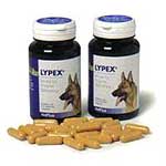 Vetplus Lypex - 60 Caps