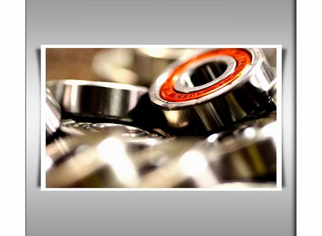 Vibranart SKATEBOARD BEARINGS A2 SATIN PAPER ART PRINT