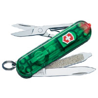 VICTORINOX 06228T4 Jellylite Classic Green