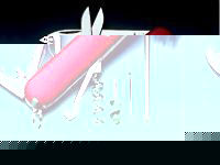 VICTORINOX 1340500 Army Knife Compact Red