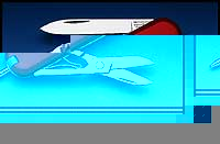 Victorinox Penknife - Signature (Red) - Ref 06225