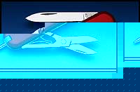 Victorinox Penknife - Signature (Red) - Ref 06225