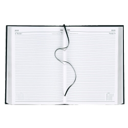 Viking 2009 2 P/P/D Diary Black A4 297 x 210 mm